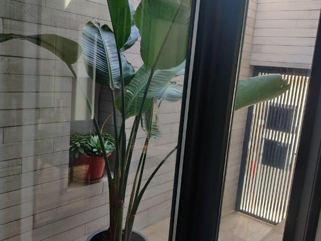 Apartamento alugar em Costa Nova, Ílhavo