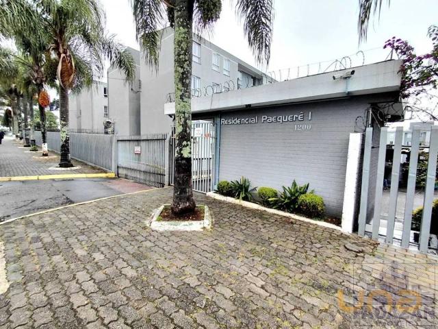 Apartamento aluguel em Região Geográfica Imediata de Curitiba, Região Metropolitana de Curitiba