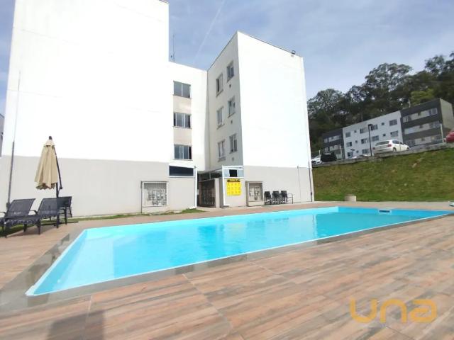 Apartamento aluguel em Região Geográfica Imediata de Curitiba, Região Metropolitana de Curitiba