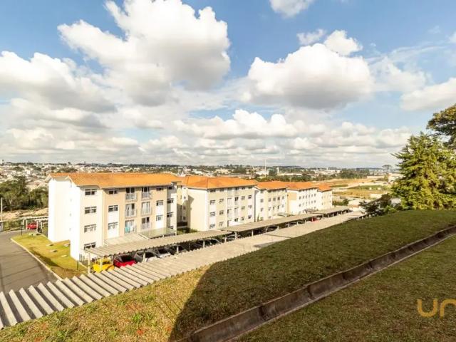 Apartamento aluguel em Região Geográfica Imediata de Curitiba, Região Metropolitana de Curitiba