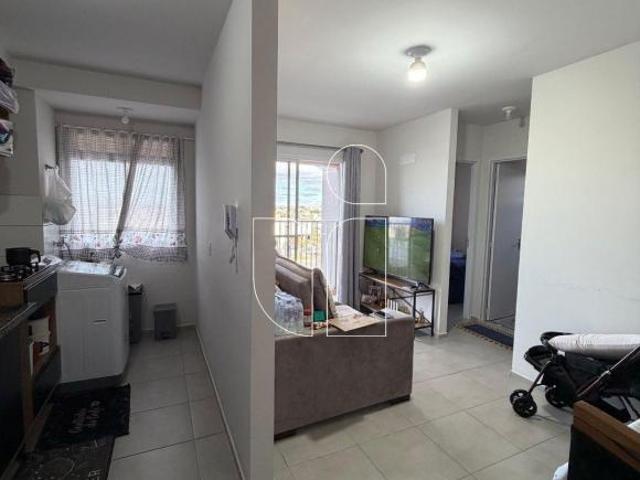 Apartamento venda em Região Imediata de Marília, Marília