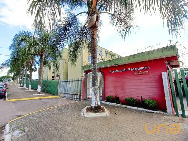 Apartamento aluguel em Região Geográfica Imediata de Curitiba, Região Metropolitana de Curitiba