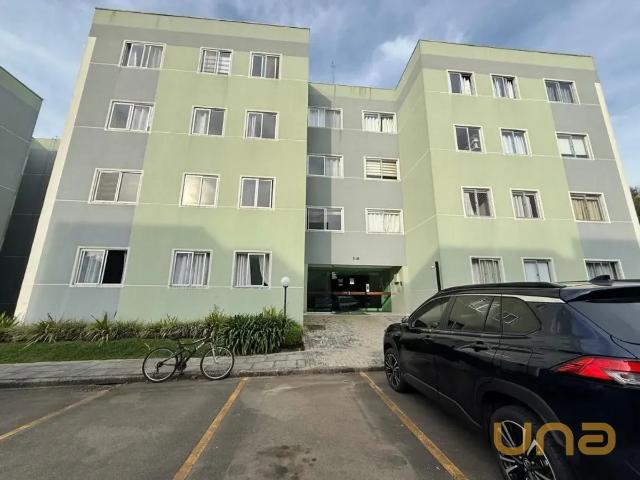Apartamento aluguel em Região Geográfica Imediata de Curitiba, Região Metropolitana de Curitiba