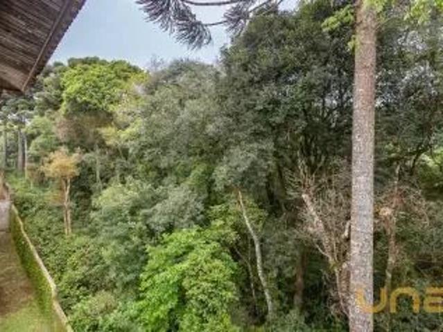 Apartamento aluguel em Santa Cândida, Curitiba