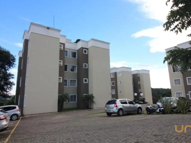 Casa aluguel em Região Geográfica Imediata de Curitiba, Região Metropolitana de Curitiba