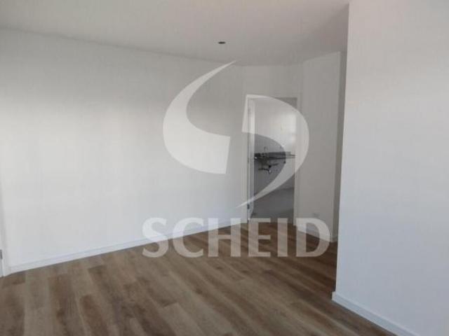 Apartamento venda em Vila Mascote, São Paulo