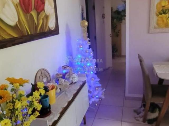 Apartamento venda em Região Imediata de São José do Rio Preto, Região Metropolitana de São José do Rio Preto