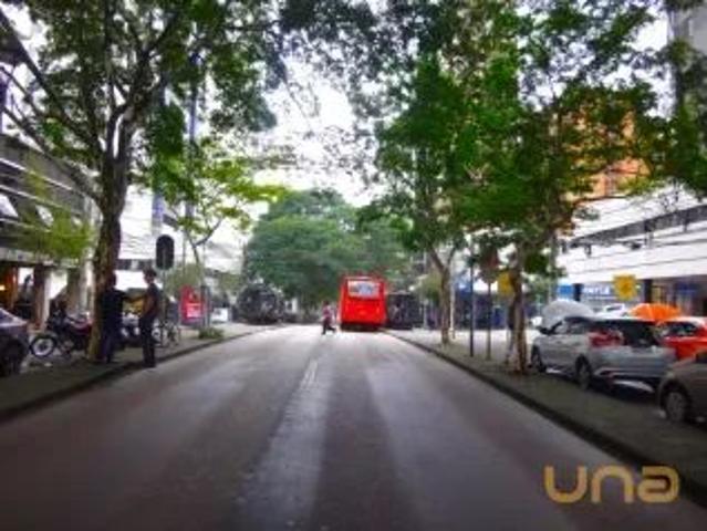 Apartamento aluguel em Campina do Siqueira, Curitiba