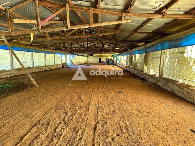Apartamento aluguel em Região Geográfica Imediata de Ponta Grossa, Ponta Grossa
