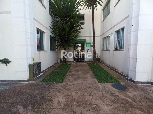 Apartamento aluguel em Região Geográfica Imediata de Uberlândia, Oliveira Fortes