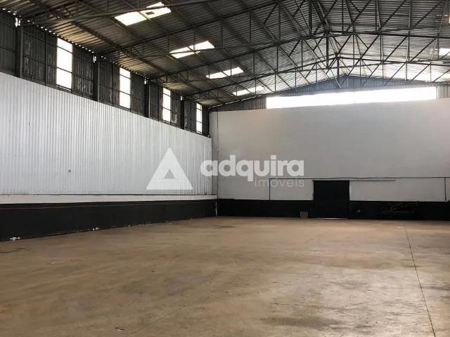 Apartamento aluguel em Região Geográfica Imediata de Ponta Grossa, Ponta Grossa