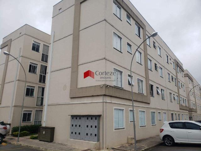 Apartamento aluguel em Região Geográfica Imediata de Curitiba, Região Metropolitana de Curitiba