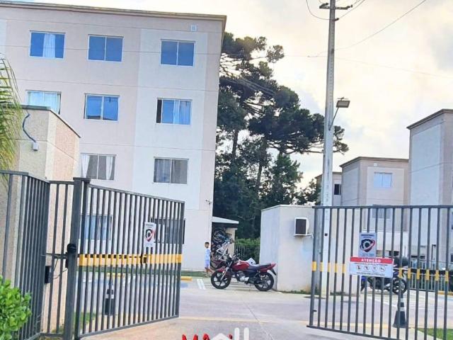 Apartamento aluguel em Região Geográfica Imediata de Curitiba, Região Metropolitana de Curitiba