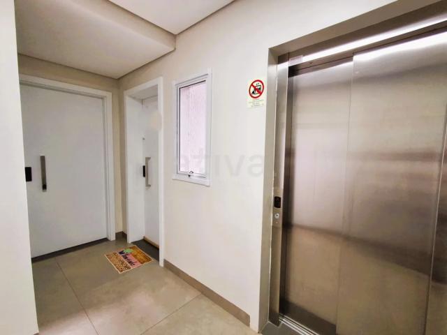 Apartamento aluguel em Jardim Britânia, Toledo