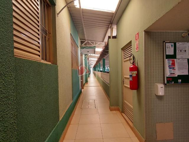 Apartamento aluguel em Região Geográfica Imediata de Maringá, Maringá