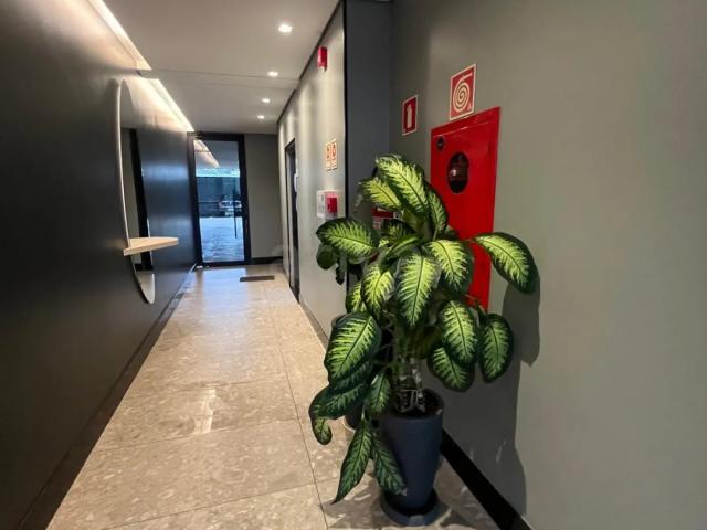 Apartamento aluguel em Região Geográfica Imediata de Toledo, Toledo