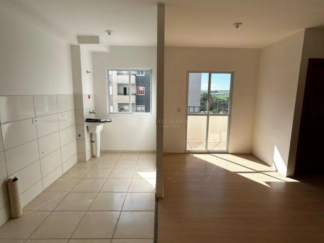 Apartamento aluguel em Região Geográfica Imediata de Maringá, Maringá