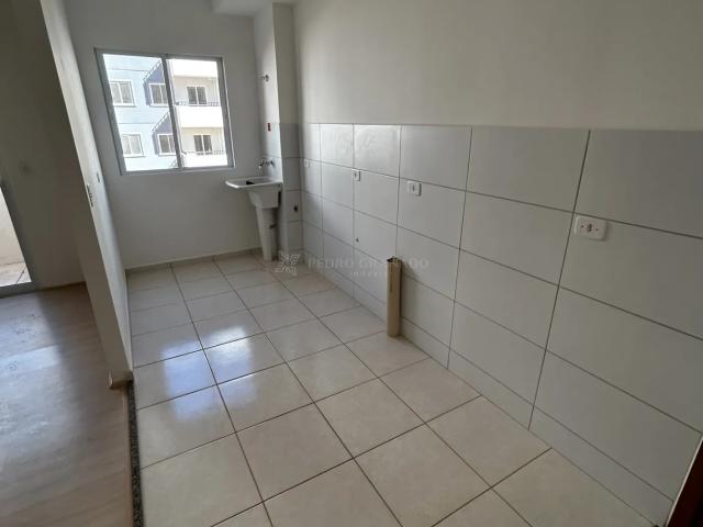 Apartamento aluguel em Região Geográfica Imediata de Maringá, Maringá