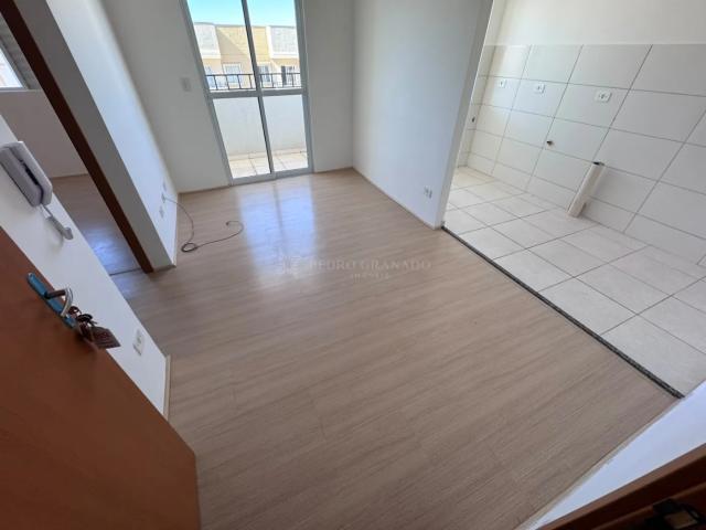 Apartamento aluguel em Região Geográfica Imediata de Maringá, Maringá