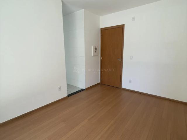 Apartamento aluguel em Região Geográfica Imediata de Maringá, Maringá