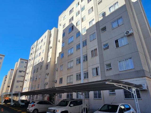 Apartamento aluguel em Região Geográfica Imediata de Maringá, Maringá