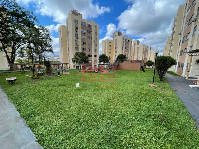 Apartamento aluguel em Região Geográfica Imediata de Maringá, Maringá