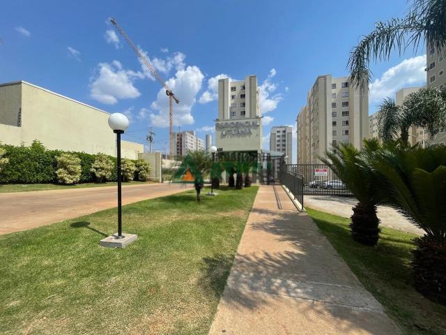Apartamento aluguel em Região Geográfica Imediata de Londrina, Londrina