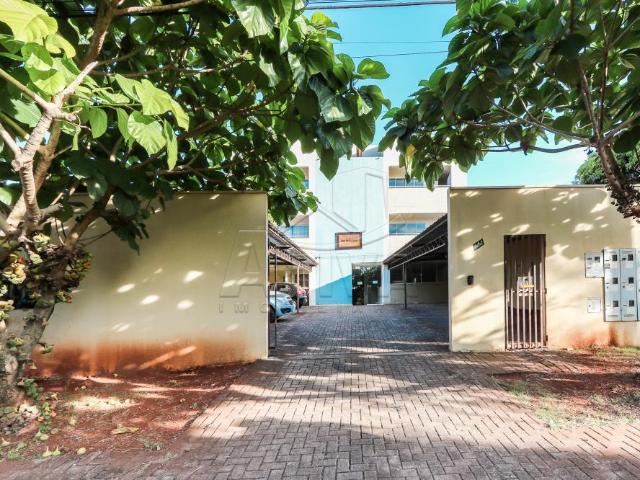 Apartamento aluguel em Jardim Santa Maria, Toledo