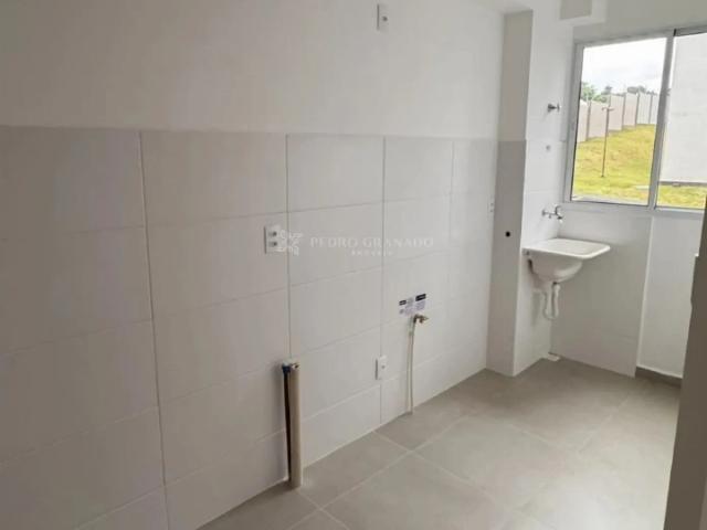 Apartamento aluguel em Região Geográfica Imediata de Maringá, Maringá