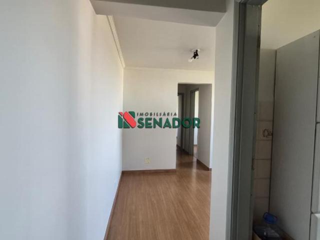 Apartamento aluguel em Região Geográfica Imediata de Londrina, Londrina