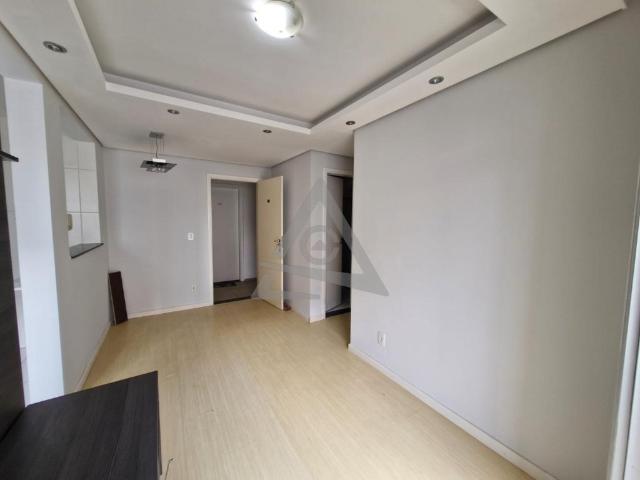 Apartamento aluguel em Região Imediata de Campinas, Região Metropolitana de Campinas