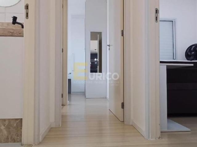 Apartamento aluguel em Jardim Maria Ilydia, Valinhos