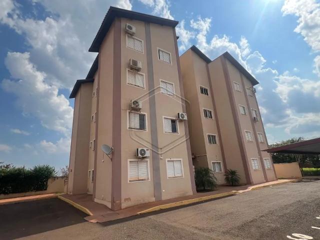 Apartamento aluguel em Região Geográfica Imediata de Dourados, Dourados