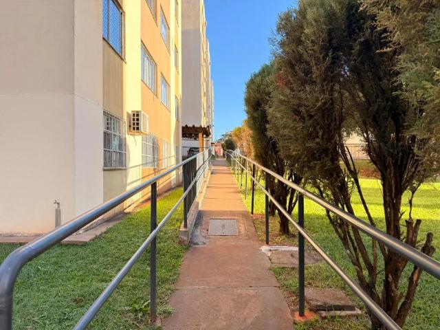 Apartamento aluguel em Região Geográfica Imediata de Maringá, Maringá