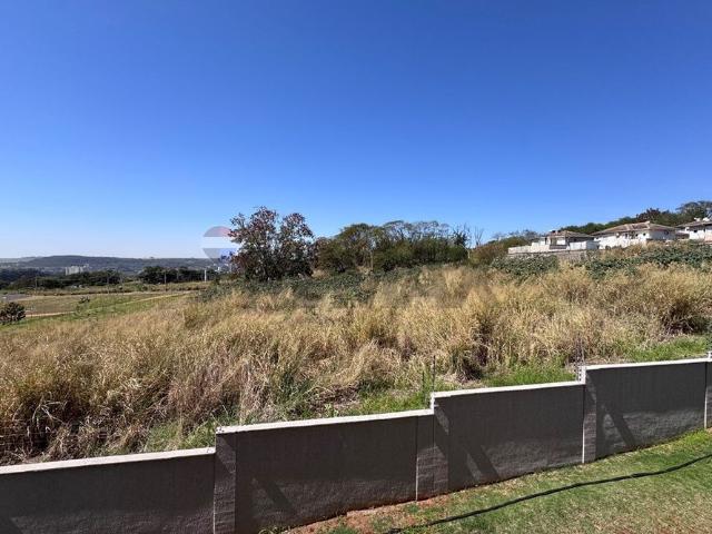 Apartamento aluguel em Ribeirão Preto