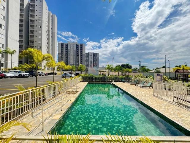 Apartamento aluguel em Região Imediata de Campinas, Região Metropolitana de Campinas