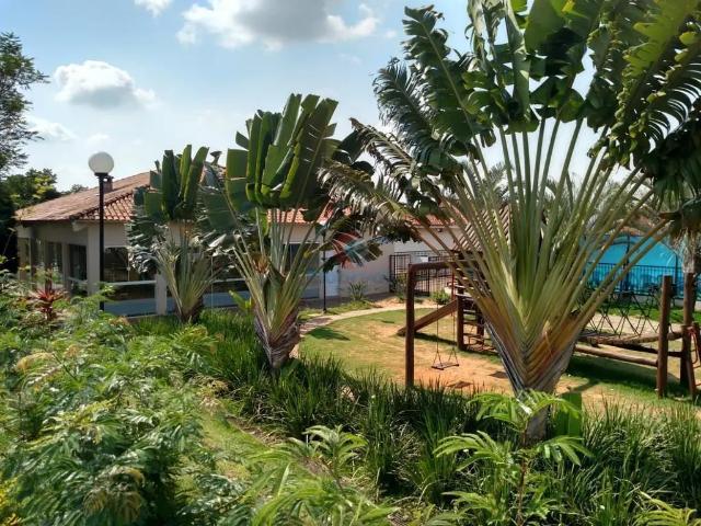 Apartamento aluguel em Residencial Campo Florido, Campinas