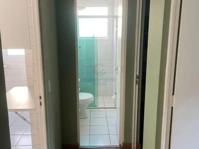 Apartamento aluguel em Nova Aparecida, Campinas