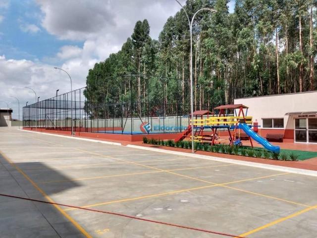 Apartamento aluguel em Região Imediata de Campinas, Região Metropolitana de Campinas