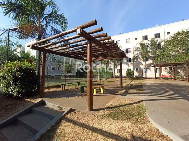 Apartamento aluguel em Região Geográfica Imediata de Uberlândia, Oliveira Fortes