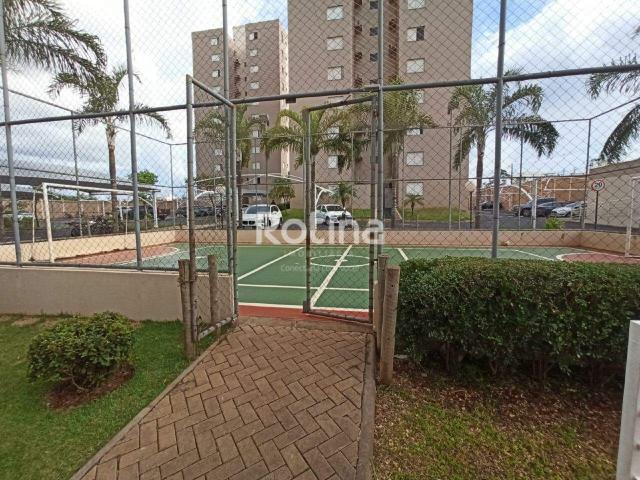 Apartamento aluguel em Condomínio Royal Park, Uberlândia