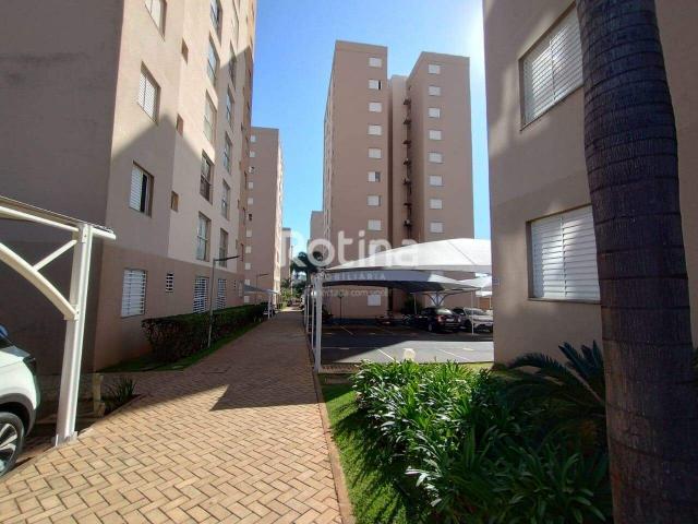 Apartamento aluguel em Região Geográfica Imediata de Uberlândia, Oliveira Fortes