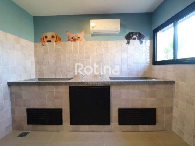 Apartamento aluguel em Região Geográfica Imediata de Uberlândia, Oliveira Fortes