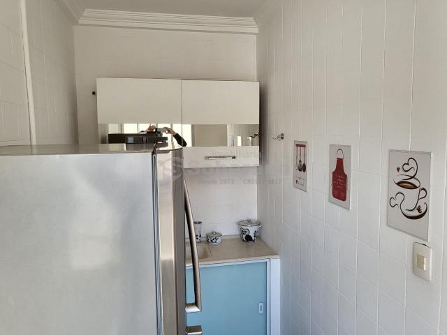 Apartamento aluguel em Região Imediata de Campinas, Região Metropolitana de Campinas