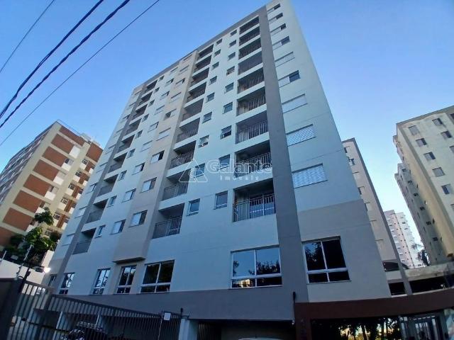 Apartamento aluguel em Região Imediata de Campinas, Região Metropolitana de Campinas