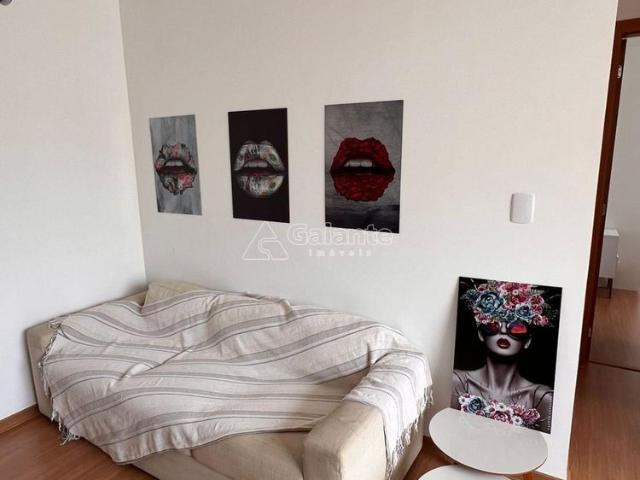 Apartamento aluguel em Região Imediata de Campinas, Região Metropolitana de Campinas