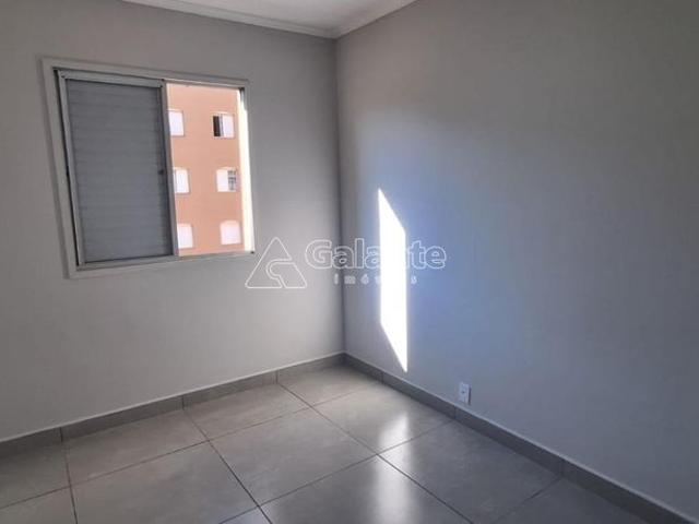 Apartamento aluguel em Região Imediata de Campinas, Região Metropolitana de Campinas