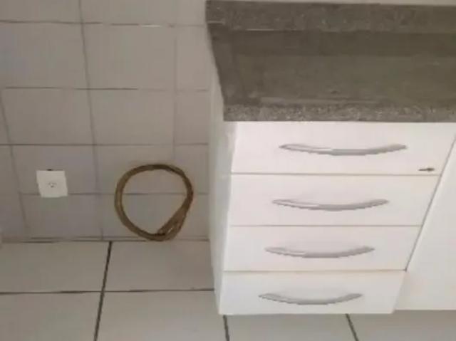 Apartamento aluguel em Região Imediata de Campinas, Região Metropolitana de Campinas