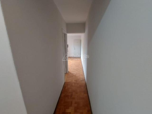 Apartamento aluguel em Campinas