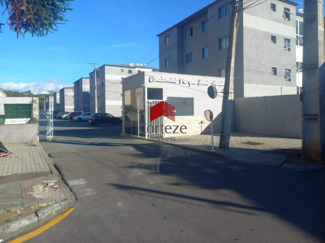 Apartamento aluguel em Região Geográfica Imediata de Curitiba, Região Metropolitana de Curitiba